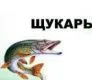 Щукарь