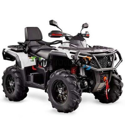 Квадроцикл AODES (Аодес) Pathcross ATV800L PRO EPS LCD двухместный белый с ПСМ