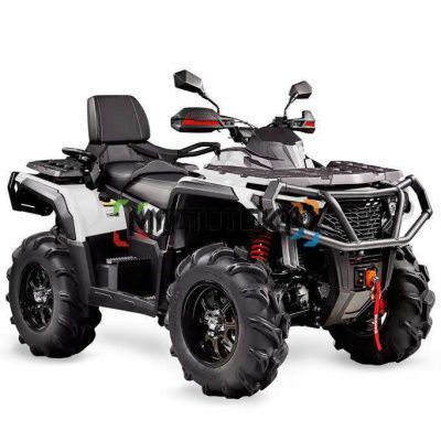 Квадроцикл AODES (Аодес) Pathcross ATV650L PRO EPS LCD двухместный белый с ПСМ